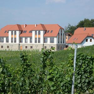 Hotel Weingut Taggenbrunn Sankt Veit an der Glan Exterior photo