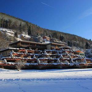 Welche sind die besten Hotels in der Nähe von Baumwipfelpfad Schwarzwald? Bad Wildbad Exterior photo