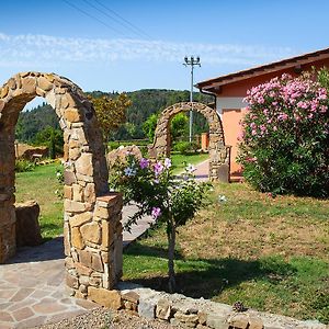 Bed and Breakfast Poggio Mariett Castiglione della Pescaia Exterior photo