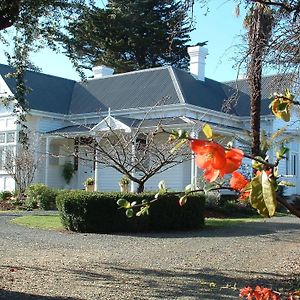 Huonville Guesthouse Hobart Exterior photo