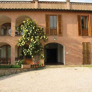 Bed and Breakfast Agriturismo Vocabolo Palazzo Solomeo Exterior photo