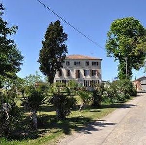 Hotel Aube Nouvelle Durfort-Lacapelette Exterior photo