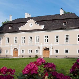 Hotel Zamek Jeseník nad Odrou Exterior photo