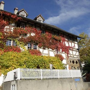 Guesthouse Les Mignardises Laufen-Uhwiesen Exterior photo