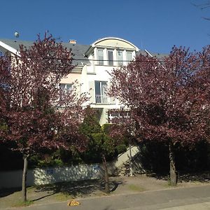 Bed and Breakfast Belle Fleur Panzio Budapest Exterior photo