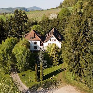 Hotel Gästehaus Kaltenbach Staufen im Breisgau Exterior photo