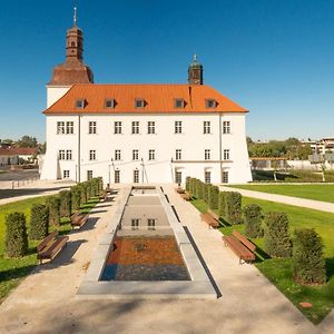 Hotel Chateau Clara Futura Dolni Brezany Exterior photo