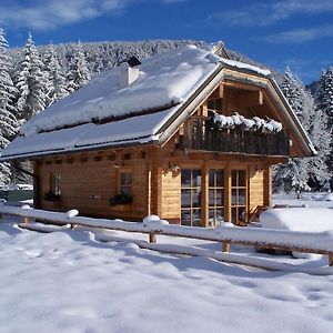 Hotel Alpi Giulie Chalets Valbruna Exterior photo