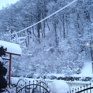 Hotel Тушер Rachiw Exterior photo