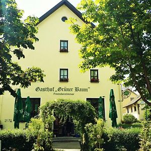 Hotel-Landgasthof Grüner Baum - Dittigheim Tauberbischofsheim Exterior photo