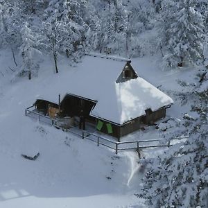 Villa Chalet Pehta Velika Planina Stahovica Exterior photo