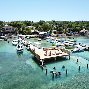 Splash Inn Dive Resort&Villas West End Exterior photo