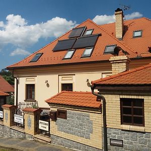 Hotel Penzion Ve Stare Skole Vlastejovice Exterior photo