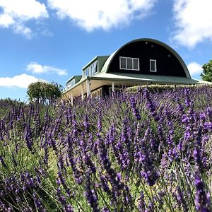 Bed and Breakfast Lavender Hill Riverhead Exterior photo