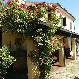 Bed and Breakfast Casolare Casa Ricci Riotorto Exterior photo