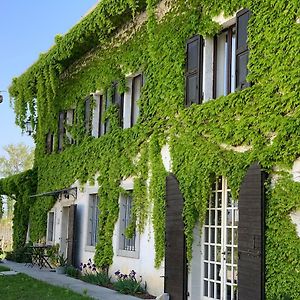 Gasthaus Agriturismo Tra Le Vigne Buttrio Exterior photo