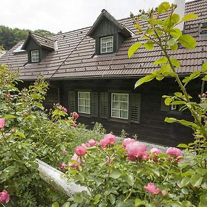 Das Altsteirische Landhaus - La Maison de Pronegg - Feriendomizil im Biosphärenpark Wienerwald Pressbaum Room photo