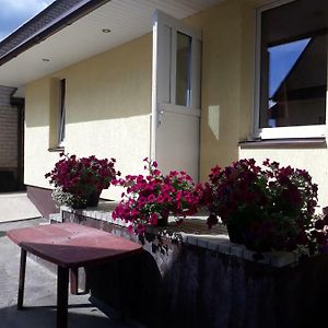 Villa Alyvos Ignalina Exterior photo