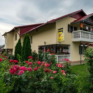 Hotel Pensiunea Elena Tasnad Exterior photo