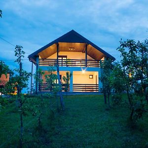 Holiday Home Dandelion With Hot Tub & Sauna Cetingrad Exterior photo