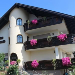 Hotel Pension Haus Erika Stadtprozelten Exterior photo