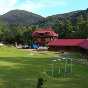 Hotel Pensiunea La Busu -Bigar Bozovici Exterior photo