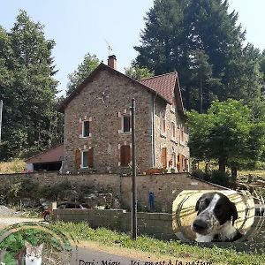 Ferienwohnung E Lu Chantauziau La Monnerie-le Montel Exterior photo