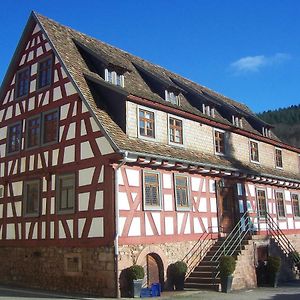 Bed and Breakfast Roter Löwe Heiligkreuzsteinach Exterior photo