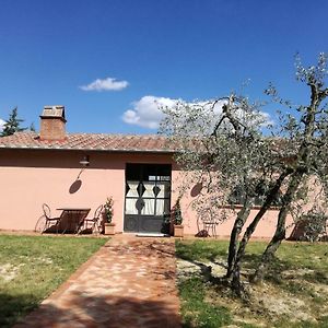 Villa Agriturismo Il Loghino Palaia Exterior photo