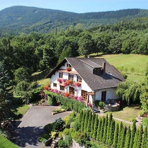 Ferienwohnung La Maison Fleurie Dieffenbach-au-Val Exterior photo