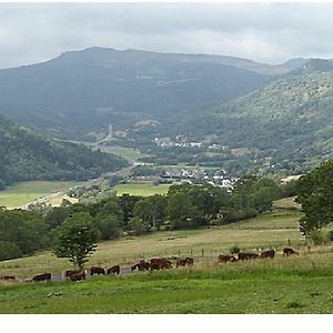 Ferienwohnung Vacances Au Pied Des Monts Du Cantal Laveissière Exterior photo