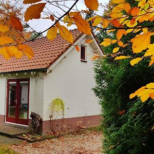 Villa Dennenhuis Vaassen Exterior photo