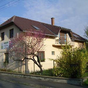 Ferienwohnung 4Fenyo Maganszallas Nagyatád Exterior photo