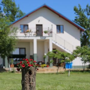 Hotel Pensiunea Palaghia Jurilovca Exterior photo