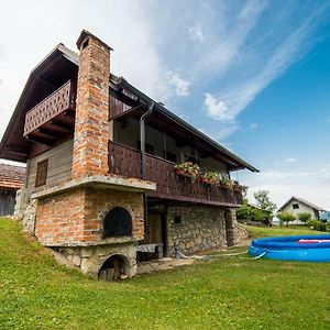 Villa Sunny House With Sauna Bistrica ob Sotli Exterior photo