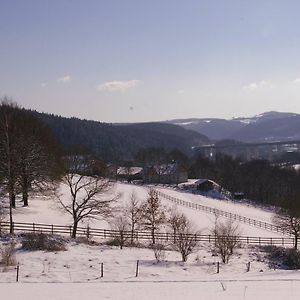 Hotel Reiterhof und Pension Eichenhof Haiger Exterior photo