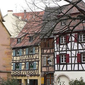 Ferienwohnung Au Chasseur Colmar Exterior photo