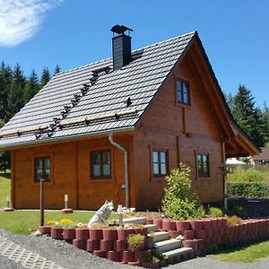 Villa Ferienhaus Wolfs-Revier Drognitz Exterior photo