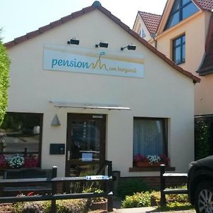 Pension am Burgwall Wißmar Exterior photo