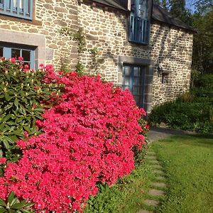 Bed and Breakfast Au Pont Ricoul Saint-Pierre-de-Plesguen Exterior photo