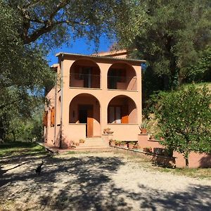 Villa Argentella House Palombara Sabina Exterior photo