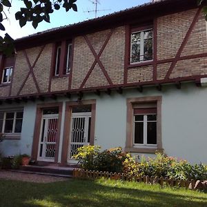 Ferienwohnung Le Petit Parc Colmar Exterior photo