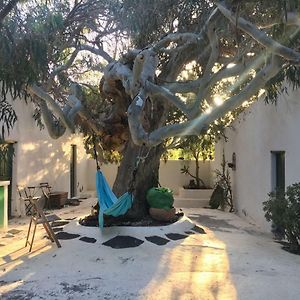 Bed and Breakfast Patio II Studio At Finca La Asomada  Exterior photo