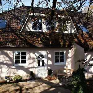 Ferienwohnung Trappenkamper Hof, Hunde Gerne Auf Anfrage Tarbek Exterior photo