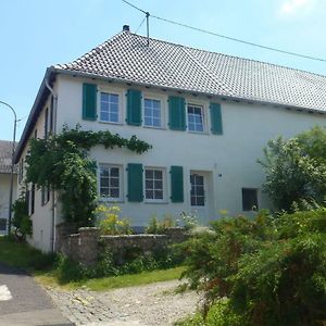 Ferienwohnung Eulennest, Haus Vogelgesang Gersheim Exterior photo