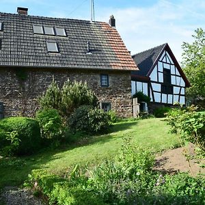 Ferienwohnung Landhaus am Aremberg / Eifel Antweiler Exterior photo