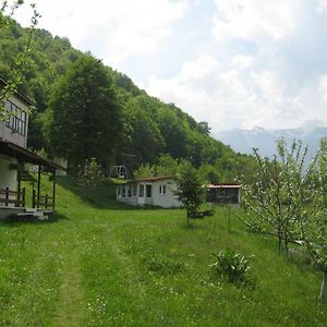 Bungalows Zdravets Berkowiza Exterior photo