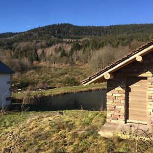 Villa Gite Grand Standing Dans Cadre Idyllique Saint-Etienne-les-Remiremont Exterior photo