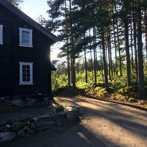 Ferienwohnung Breiva Gjestegaard Og Glamping Bo (Telemark) Exterior photo