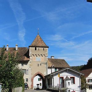 Ferienwohnung wandern und wohnen bei Gabriela Waldenburg Exterior photo